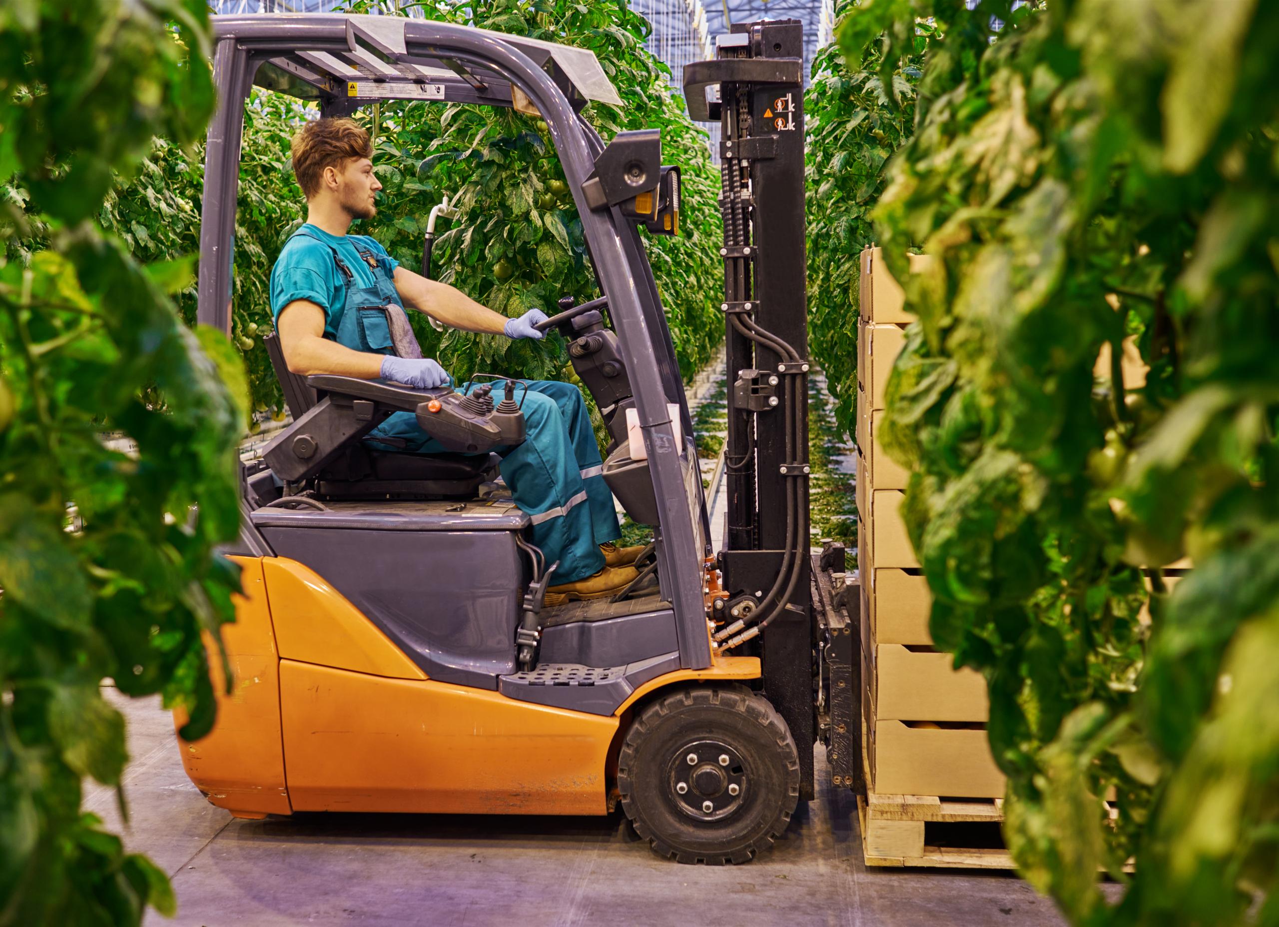 Young Attractive Man Working On Electric Forklift In Greenhouse