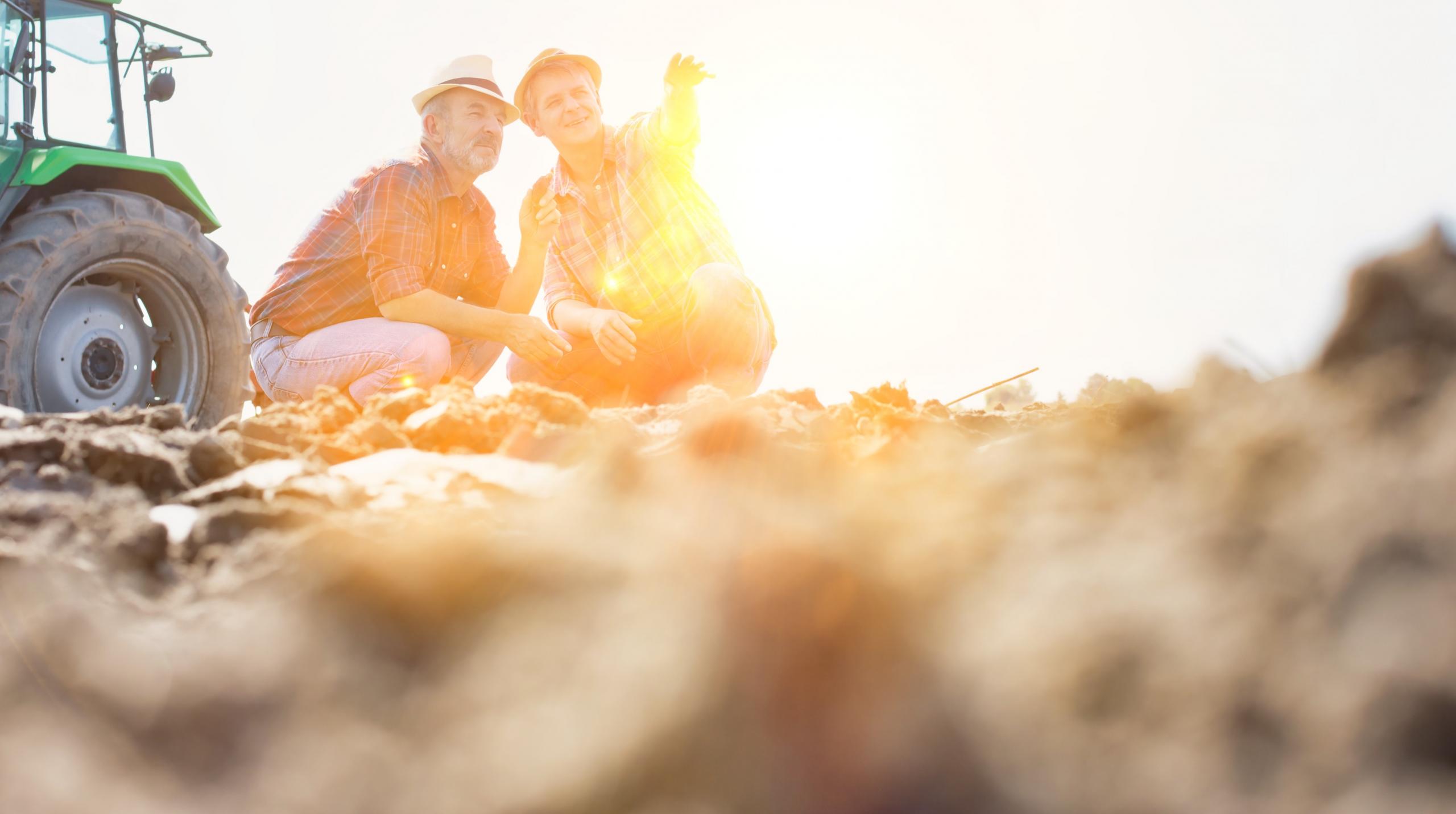 Farmers Examining Soil In Field With Yellow Lens Flare In Background