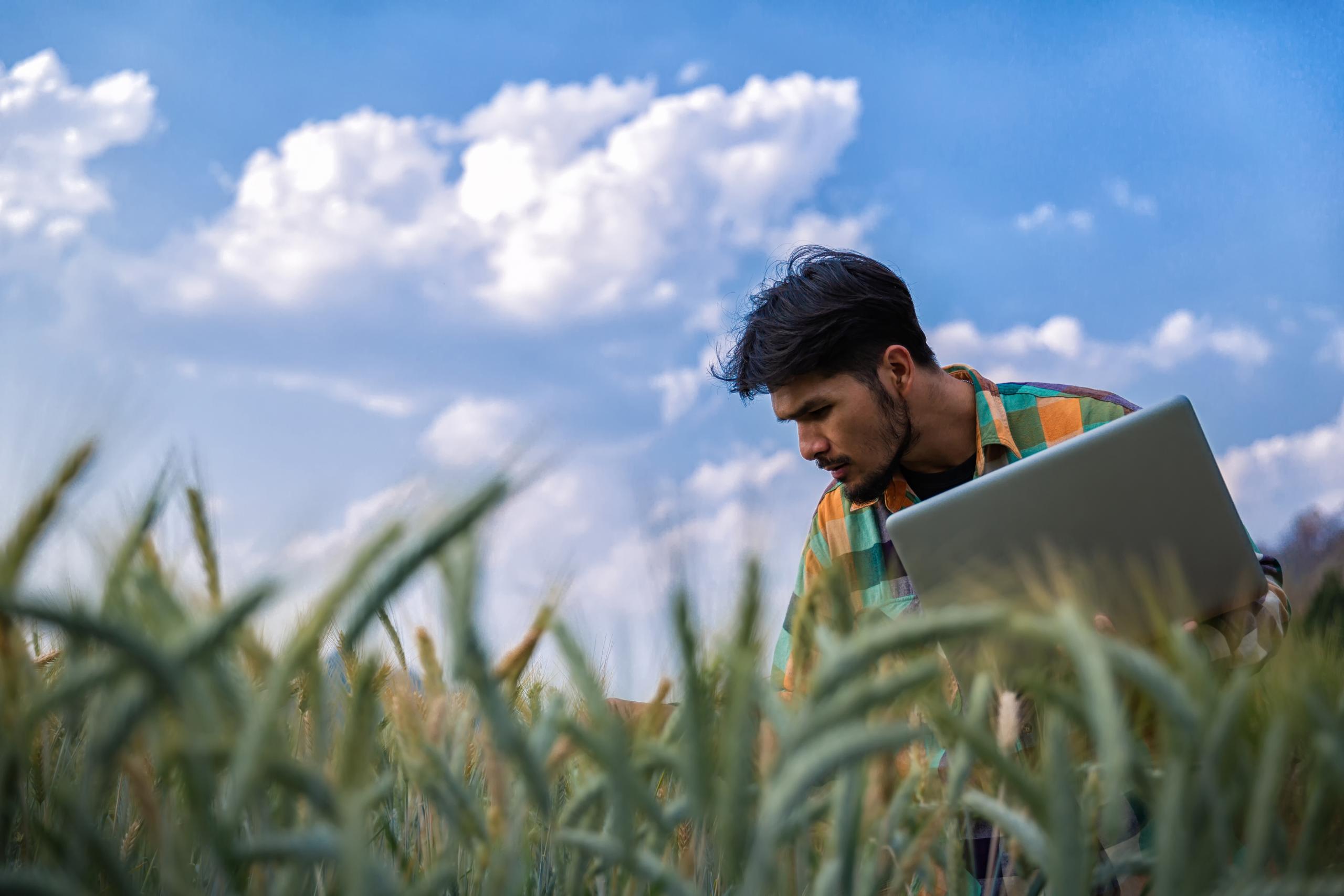 Young Man Agriculture Engineer Squatting In Gold Wheat Field Wit